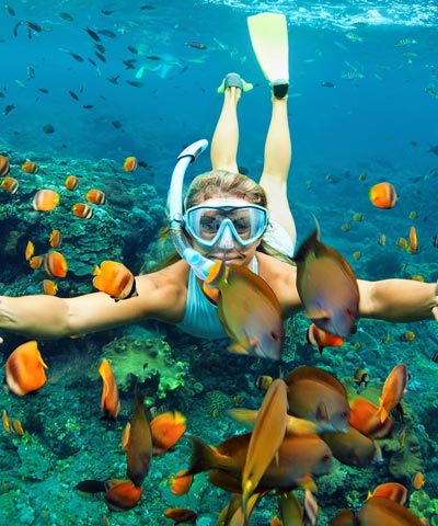 Andaman and Nicobar
